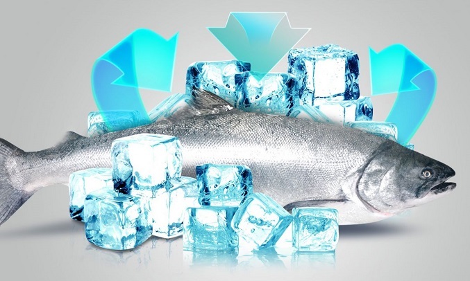 tu-lanh-casper-inverter-463-lit-rm-522vbw-thiet-ke-sang-trong-7 Tủ lạnh Casper Inverter 463 lít RM-522VBW