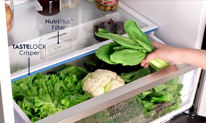 tu-lanh-electrolux-460-lit-etb4600b-g-3 tu lanh electrolux 460 lit etb4600b g 3