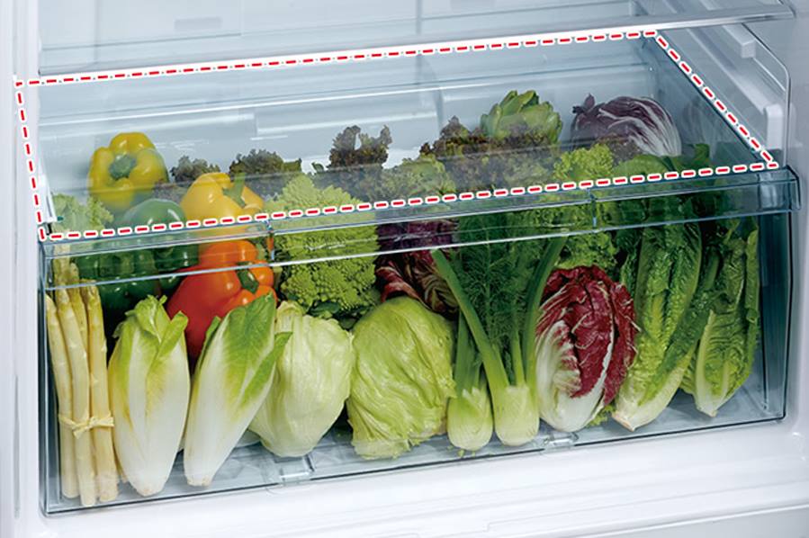 Tủ lạnh Hitachi Inverter 366L FVX480PGV9 (GBK)