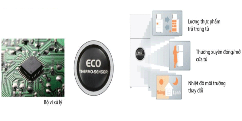 tu-lanh-hitachi-7-3 Tủ Lạnh HITACHI 290 Lít R-H350PGV7 (BSL)