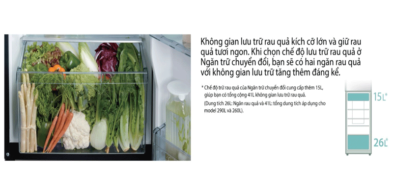 tu-lanh-hitachi-7-6 Tủ Lạnh HITACHI 290 Lít R-H350PGV7 (BSL)