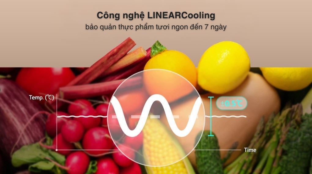 Tủ lạnh LG 217 lít LTB21SVMD - Công nghệ làm lạnh + Công nghệ bảo quản thực phẩm