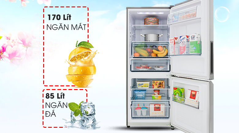 tu lanh panasonic nr bv280qsvn 3