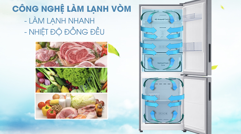 tu lanh samsung rb27n4010s8 sv 5