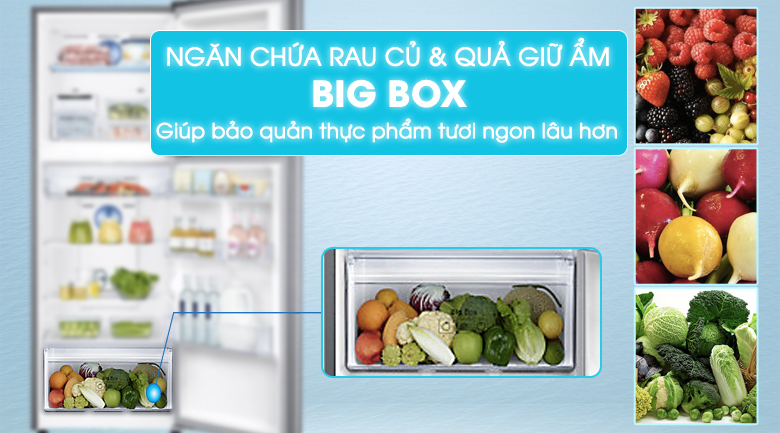 tu-lanh-samsung-rt29k5532s8-sv-10 tu lanh samsung rt29k5532s8 sv 10