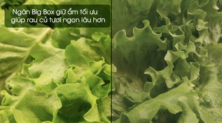 tu lanh samsung rt35k5532s8 9