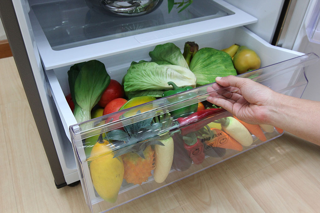 tu-lanh-samsung-rt38k5982sl-thu-vien-9 tu lanh samsung rt38k5982sl thu vien 9