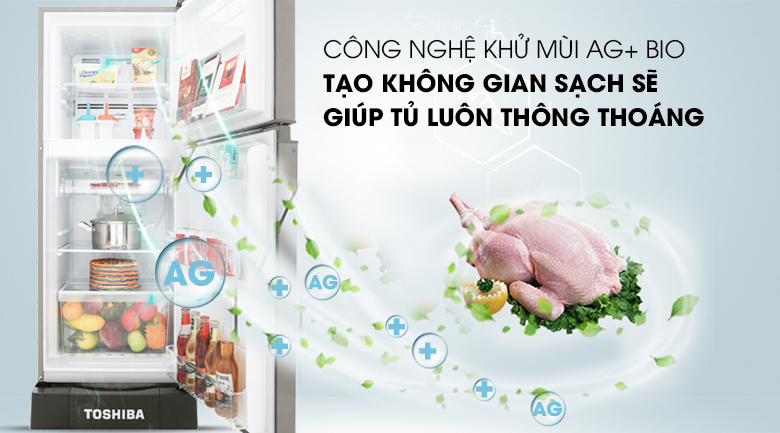 tu-lanh-toshiba-gr-a25vs-ds-6 tu lanh toshiba gr a25vs ds 6