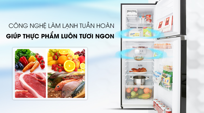 tu-lanh-toshiba-gr-a28vm-ukg-5 tu lanh toshiba gr a28vm ukg 5