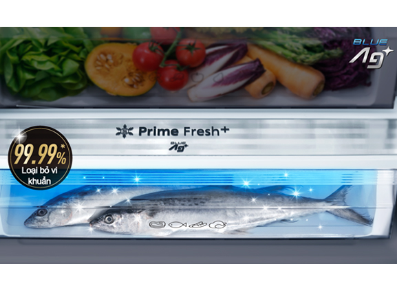 tu-panasonic-1 Tủ lạnh Panasonic Inverter 420 Lít NR-BX471WGKV