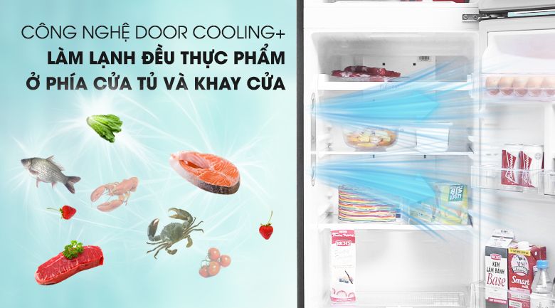 vi-vn-lg-gn-l255ps-5 Tủ Lạnh LG Inverter 2 Cánh GN-B255S 255 Lít